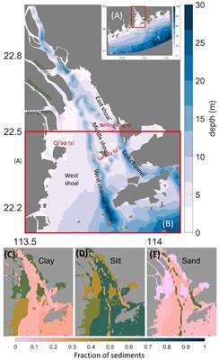 Physical mechanisms, dynamics and interconnections of multiple estuarine turbidity maximum in the Pearl River estuary